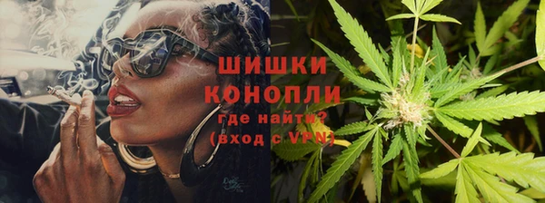 spice Краснослободск