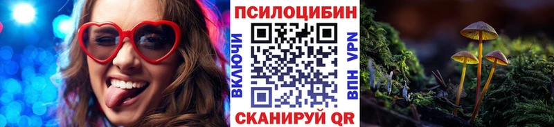 Псилоцибиновые грибы мицелий  купить наркотик  Тюмень 