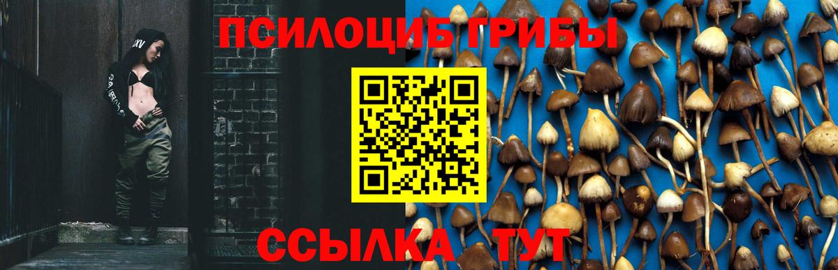 Тюмень  Псилоцибиновые грибы мухоморы  Вход с VPN 